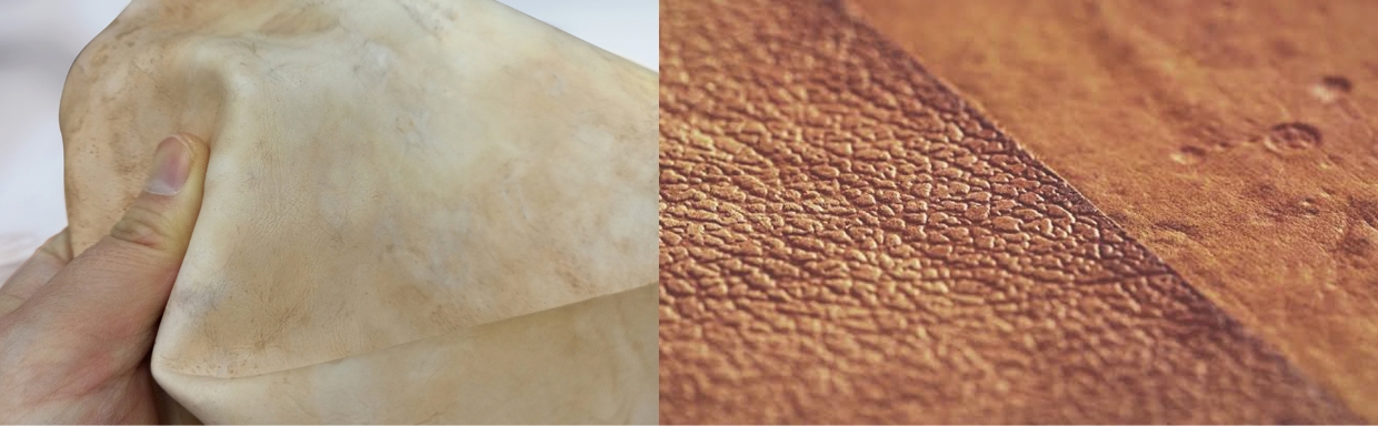 현대차그룹의 사내 스타트업인 마이셀의 버섯 균사체 기술을 설명하는 이미지의 모습