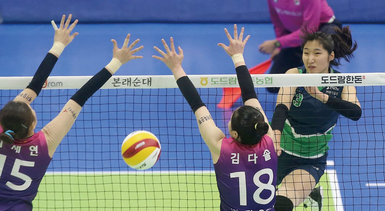 현대건설 힐스테이트 배구단 정지윤 선수가 상대편 네트를 향해 공격하는 모습