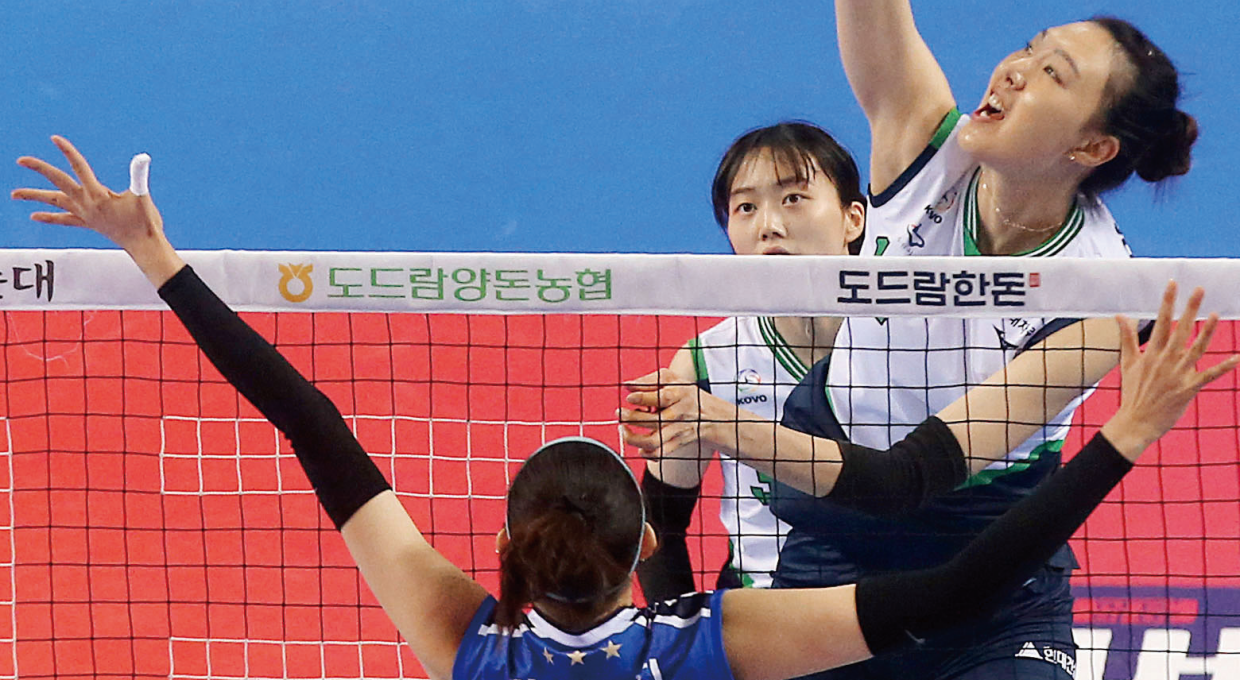 현대건설 힐스테이트 배구단 양효진 선수가 스파이크를 위해 높이 점프한 모습