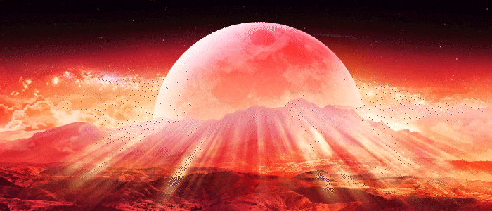 무드 큐레이터 중 바이탈리티 모드의 디스플레이 배경 화면