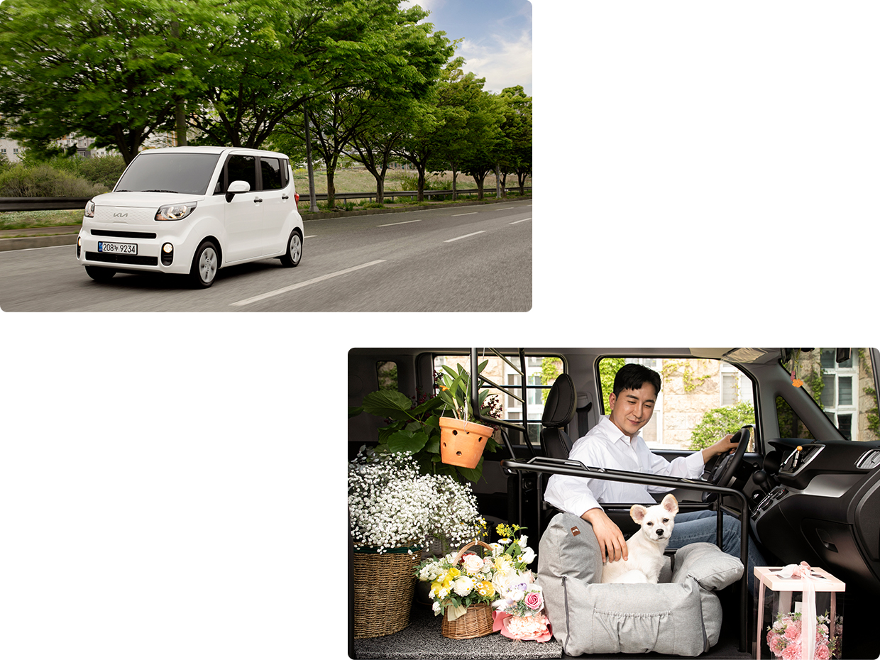 도심 속에서 레이가 주행하는 모습/레이 밴 내부에 화분이 가득 실려있고, 조수석 짐칸에는 강아지가 앉아 있는 모습