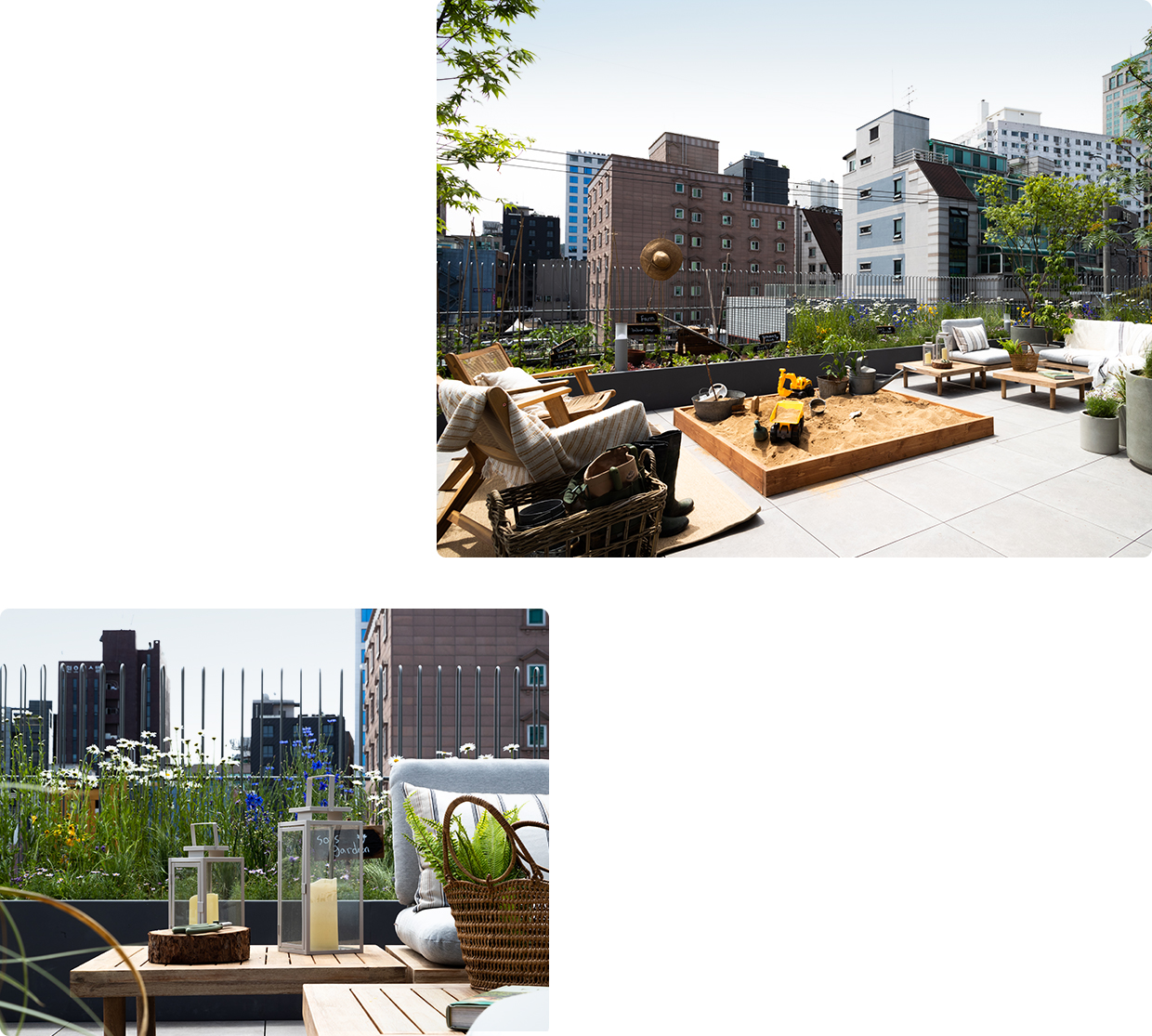 하우스 A 루프탑 공간에 연출된 플랜테리어 가든 모습