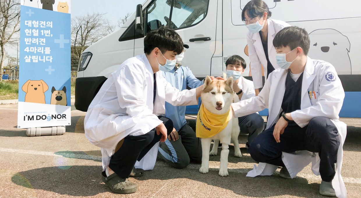 가운을 입은 사람 5명과 강아지 한마리가 차 앞에 모여 있는 모습