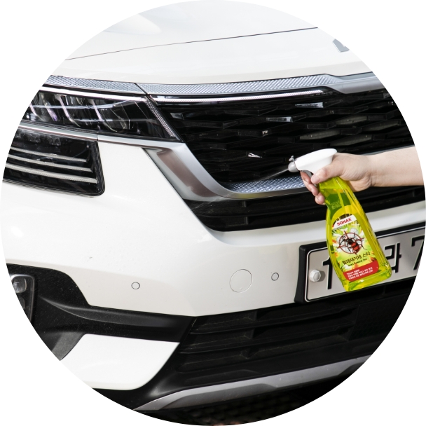 차량용 벌레 제거제를 차량에 분사하고 있다