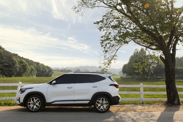 나무 밑 그늘에 서 있는 기아 셀토스