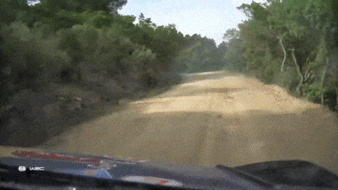 WRC 경기 도중 사고가 발생해 코스가 막힌 모습