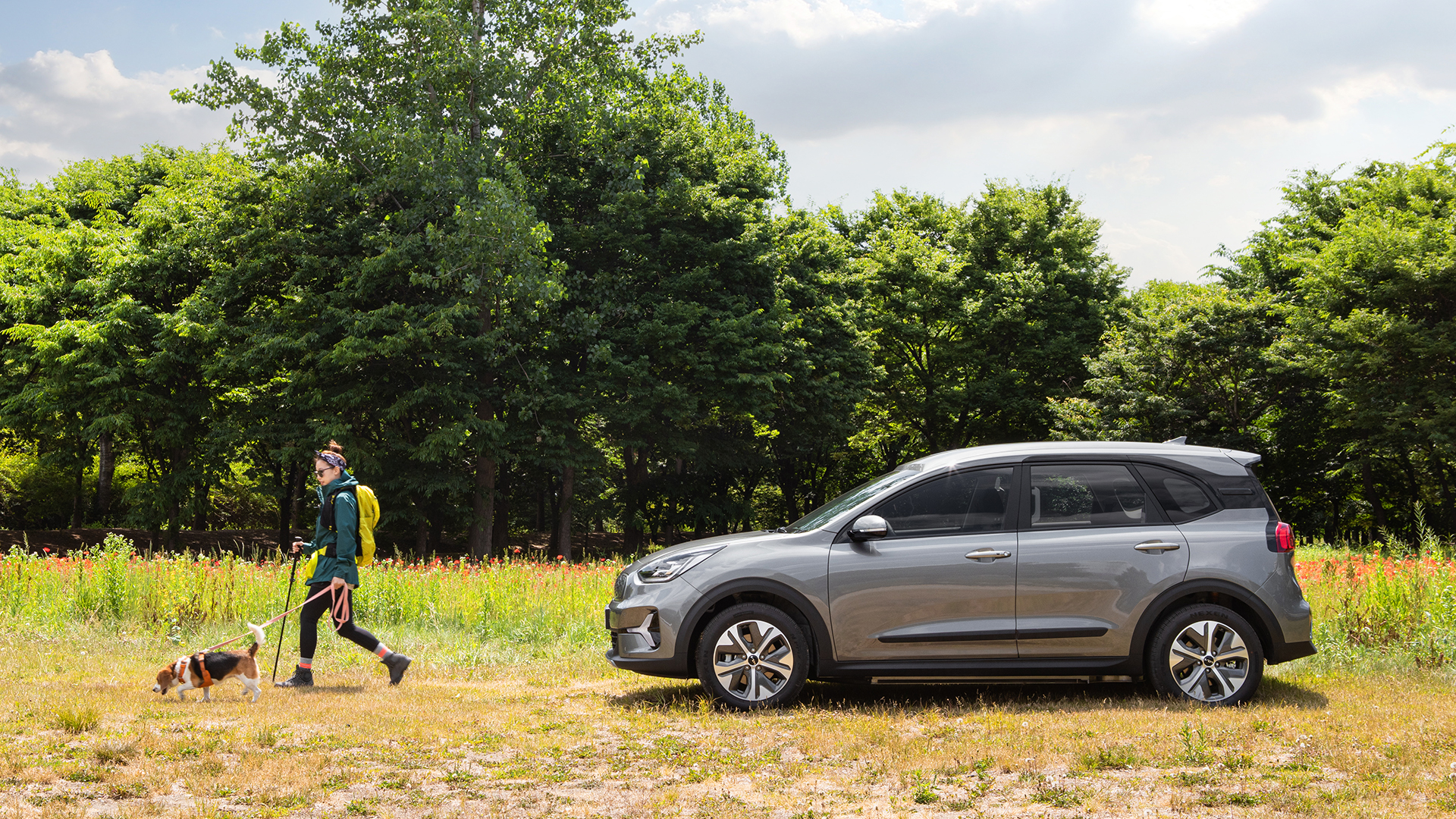 니로 플러스 앞에서 사람과 반려견이 함께 걷는 모습