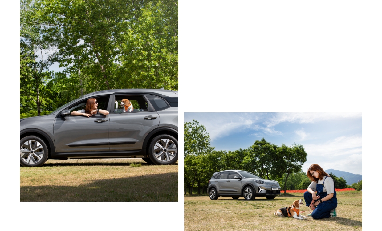 사람과 반려견이 눈을 마주치는 모습