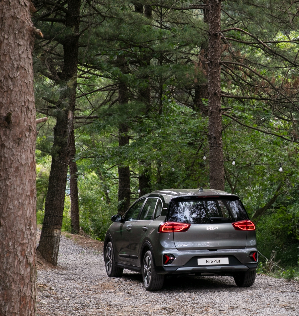 Rear view of Niro Plus stopped on the forest road at the campsite