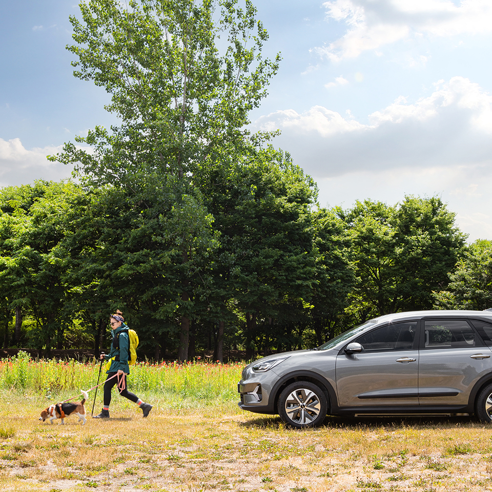 A man and a dog walking together in front of the Niro Plus