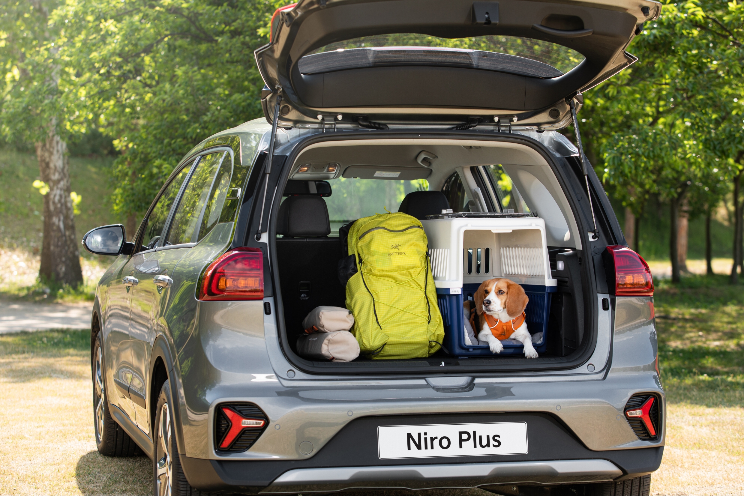 Lots of equipment and a dog in the Niro Plus trunk