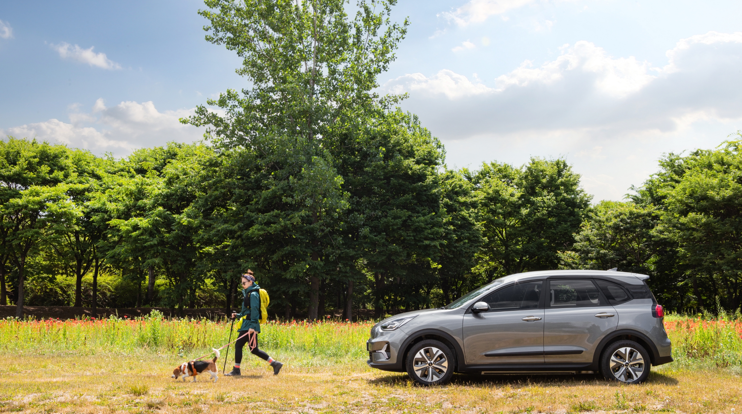A human and dog walking together in front of the Niro Plus