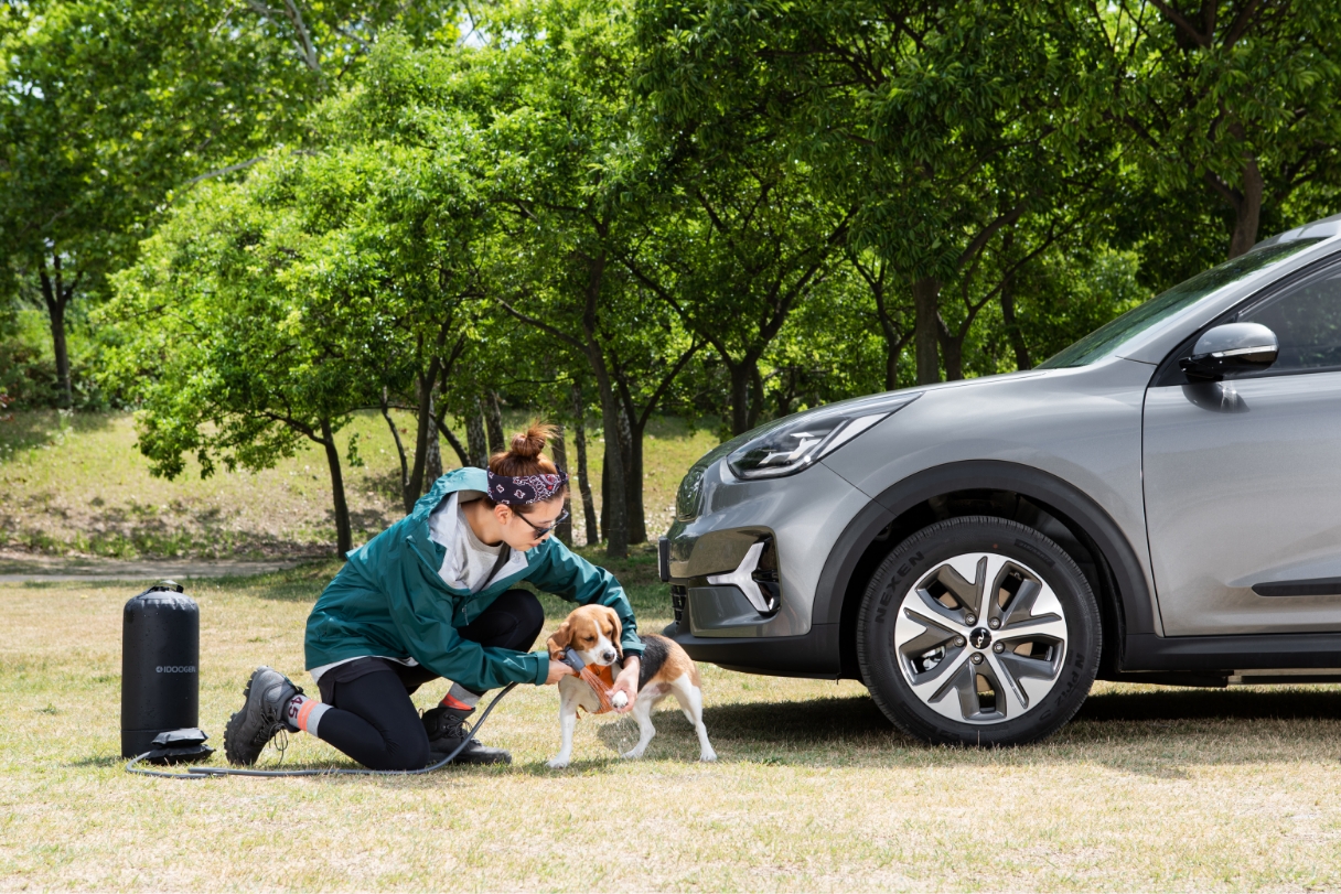 a person washing a dog's paws