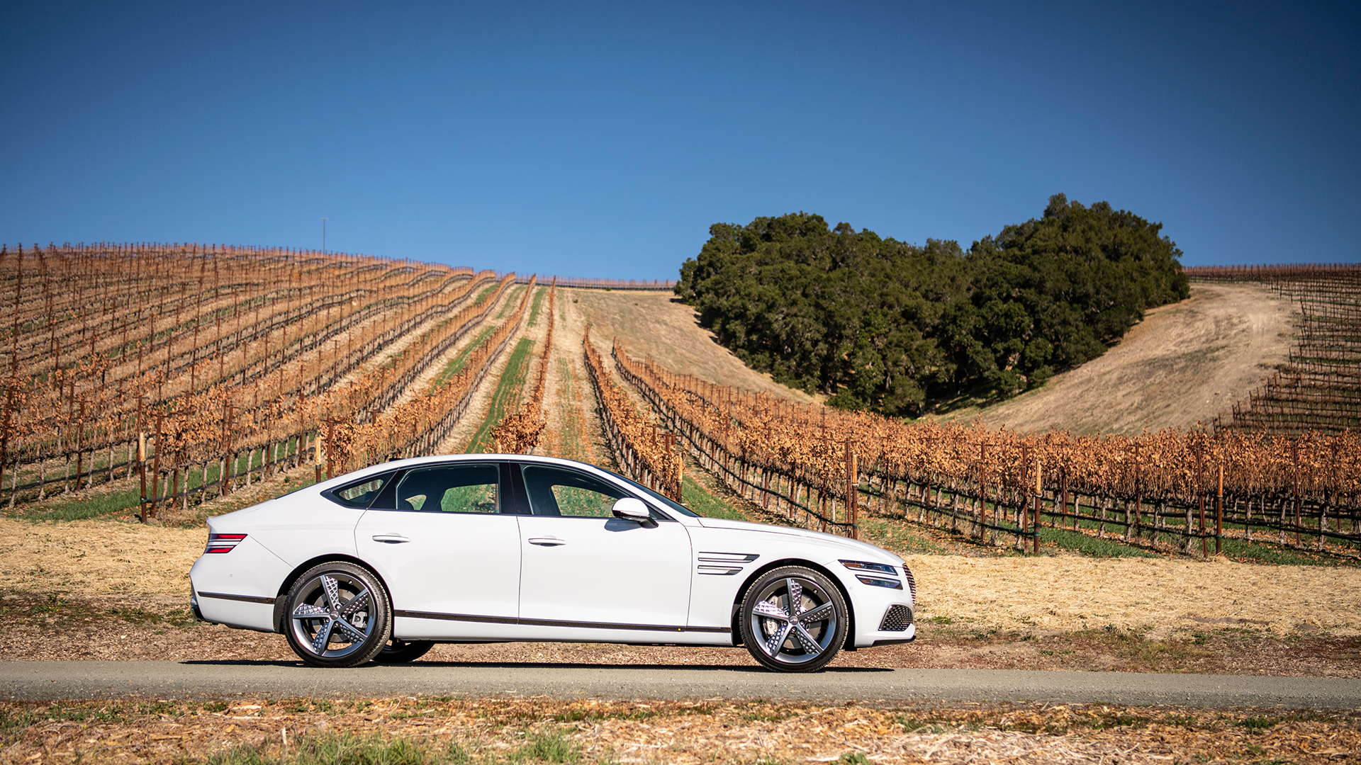 하트 모양 숲을 배경으로 서 있는 제네시스 G80의 옆 모습