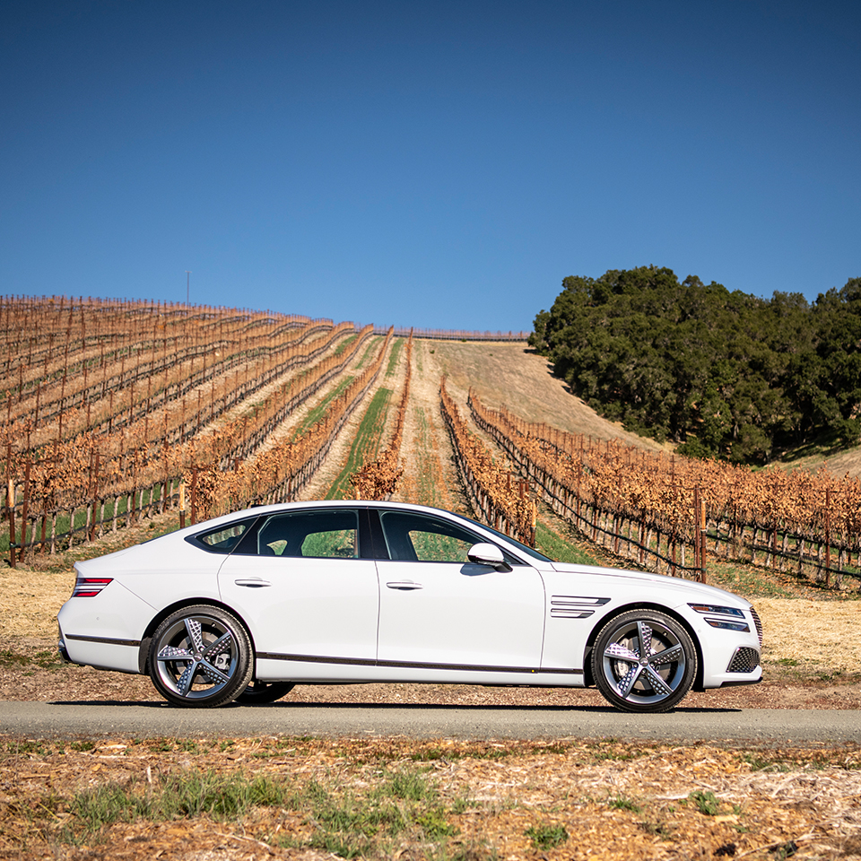 하트 모양 숲을 배경으로 서 있는 제네시스 G80의 옆 모습