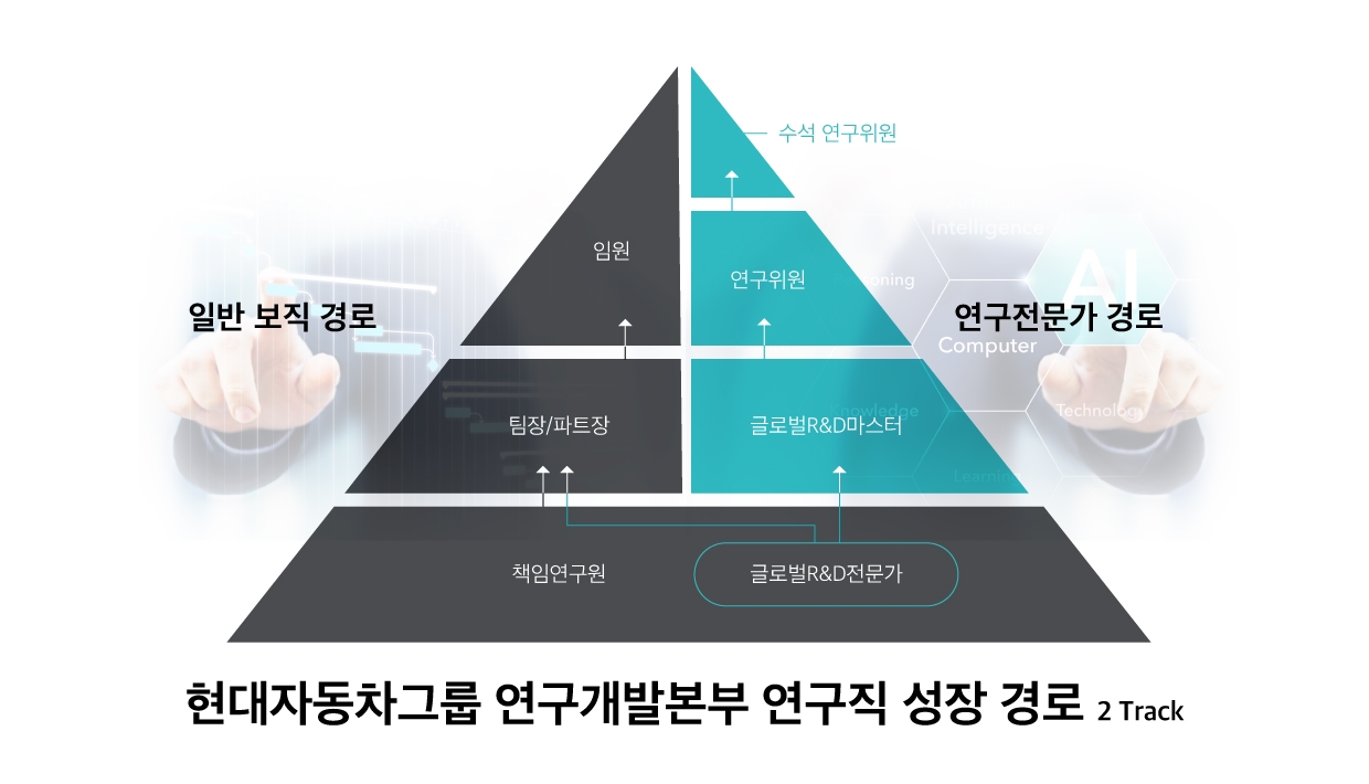 현대차그룹의 연구직 성장 경로를 나타낸 인포그래픽