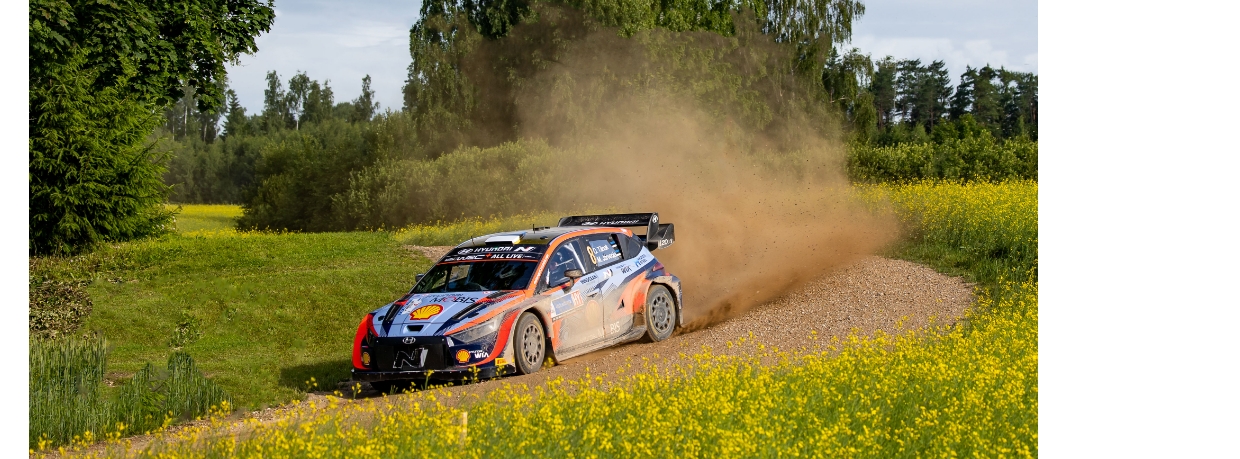The i20 rally car driving along the road with yellow flowers
