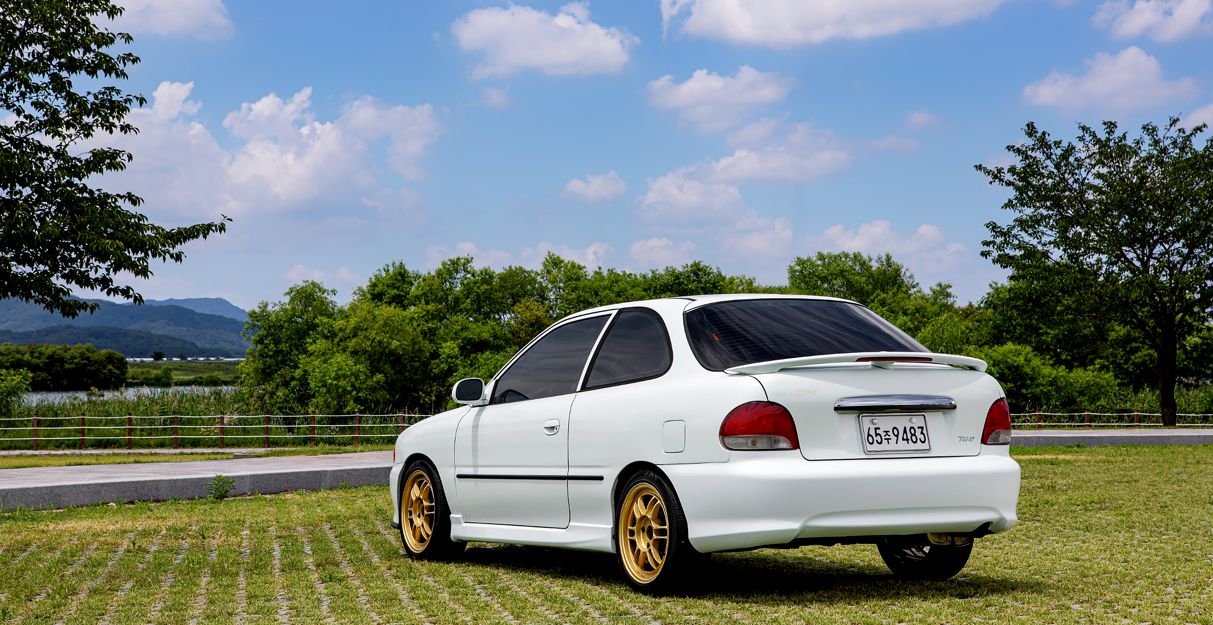 잔디밭에 프로 엑센트가 정차한 모습