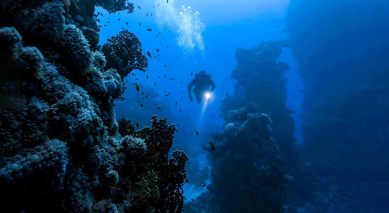 바닷속에서 헤엄치는 스쿠버다이버