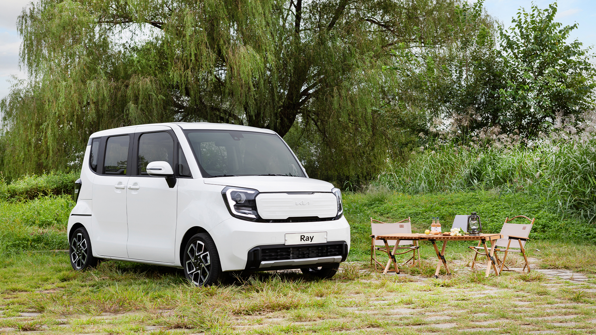 잔디밭에 레이가 정차한 모습