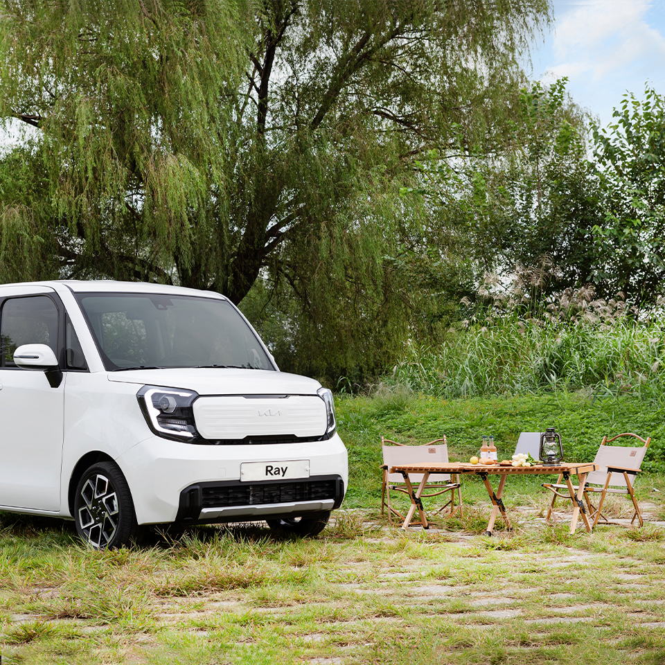 잔디밭에 레이가 정차한 모습