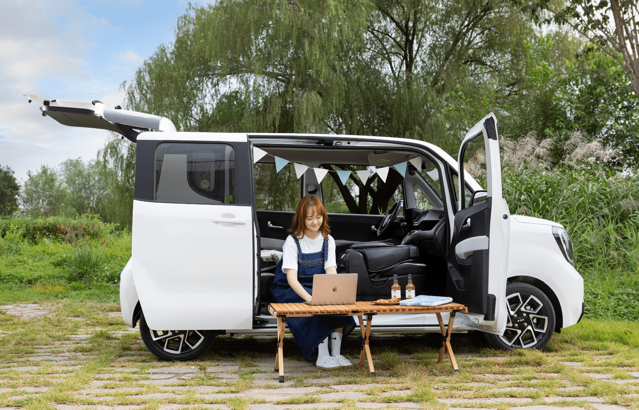 잔디밭에 레이가 정차한 모습