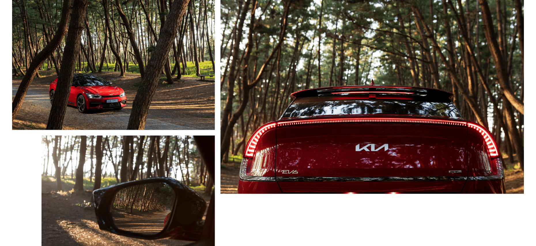 충남 태안 소나무 길에 서 있는 기아 EV6의 모습