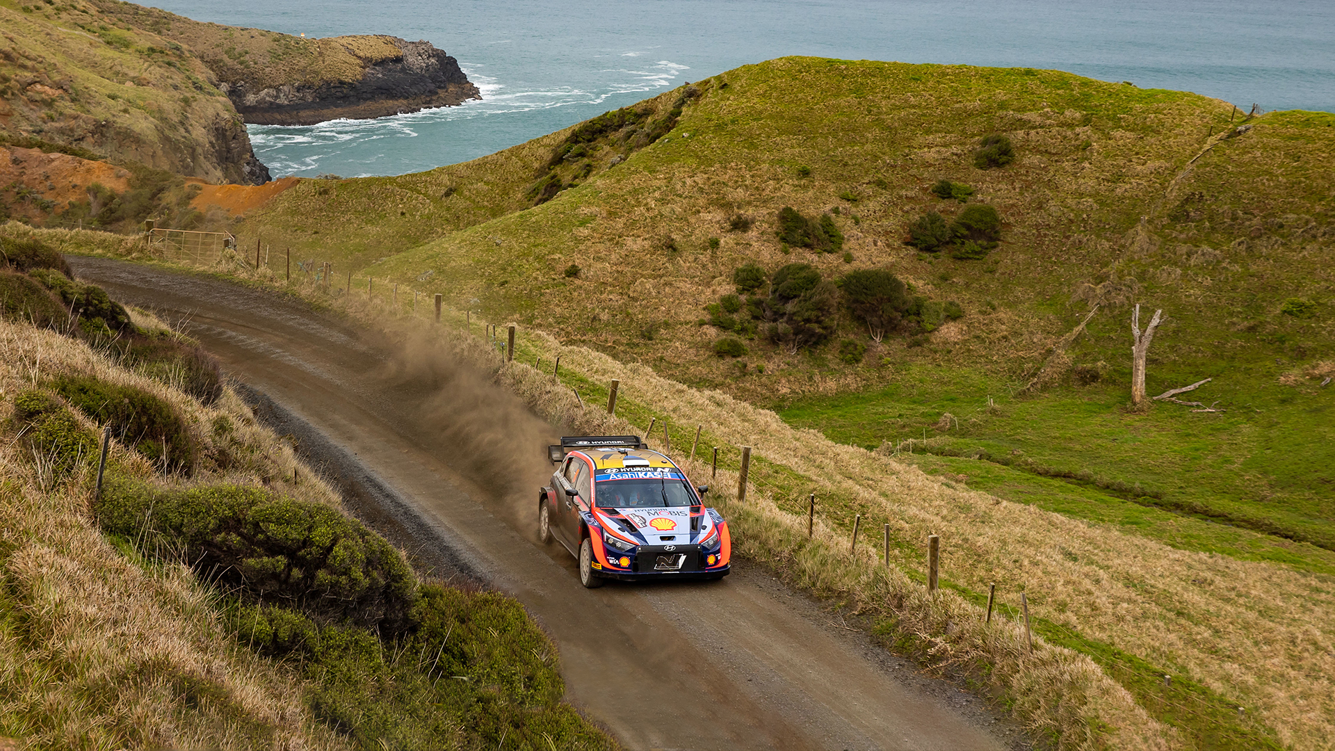 Hyundai i20 N Rally 1 in motion at Rally New Zealand