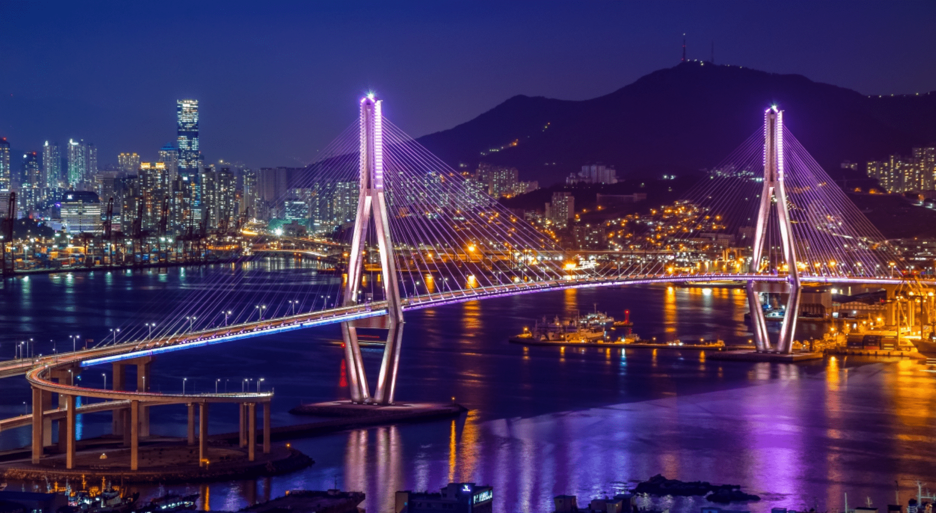 부산항대교의 야경이 펼쳐져 있다