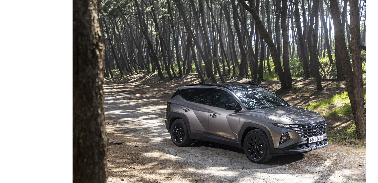 숲에 정차한 투싼 어드벤처 패키지의 모습