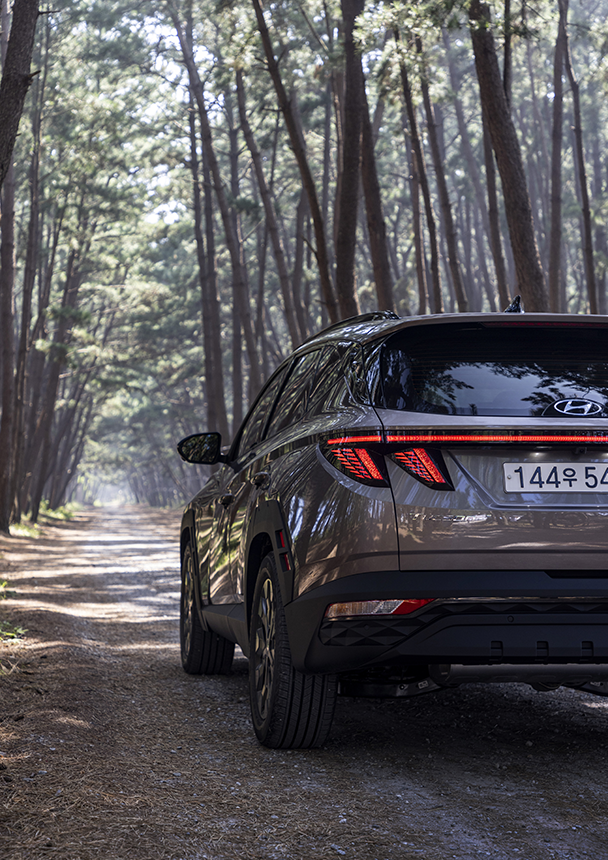 Tucson Adventure Package parked in the forest