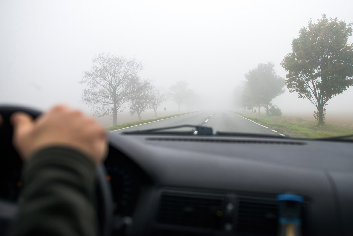 A person driving on a foggy road