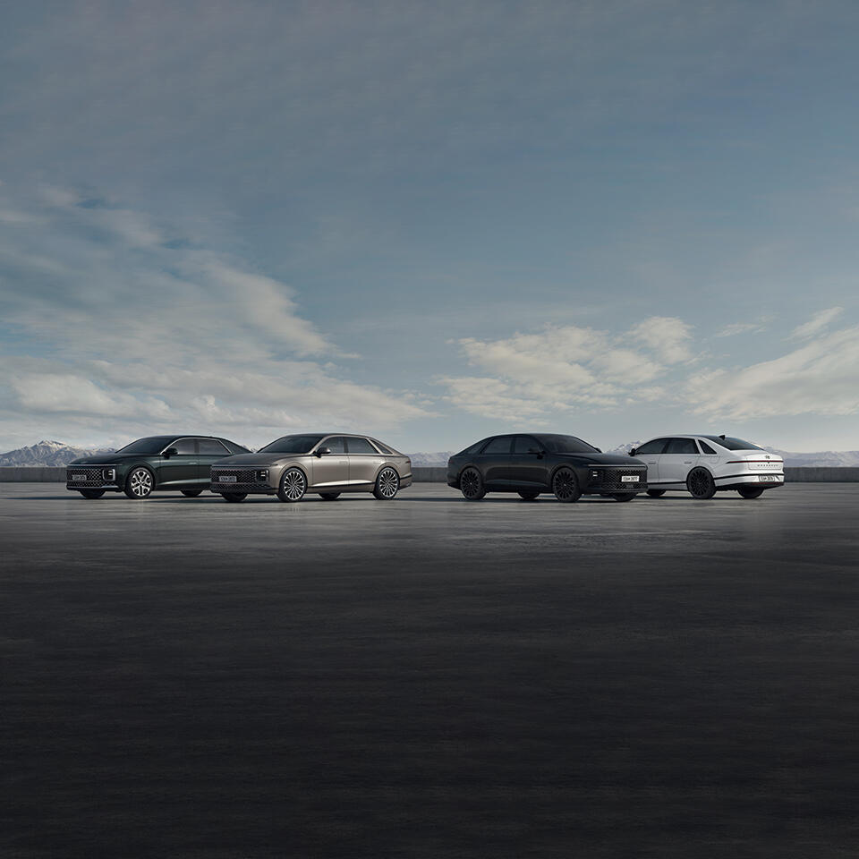 그랜저 4대가 도열한 모습