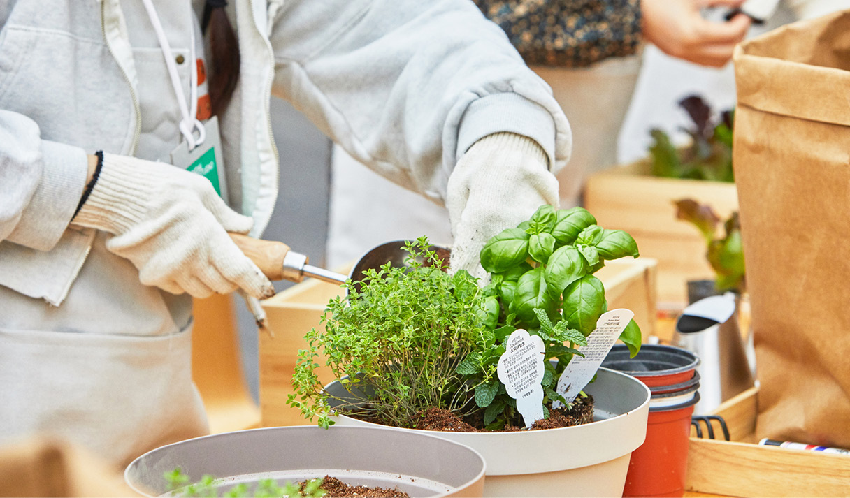 화초를 심고 있는 모습 이미지