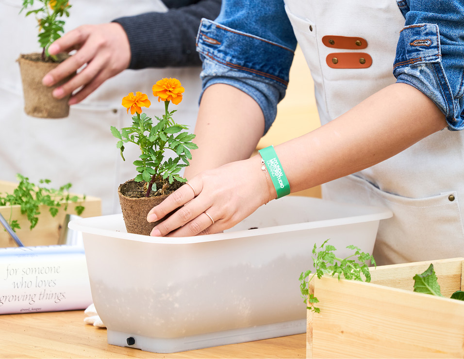 나만의 손바닥만한 정원 만들기라는 컨셉의 씨드키퍼가 진행되고 있는 모습 이미지