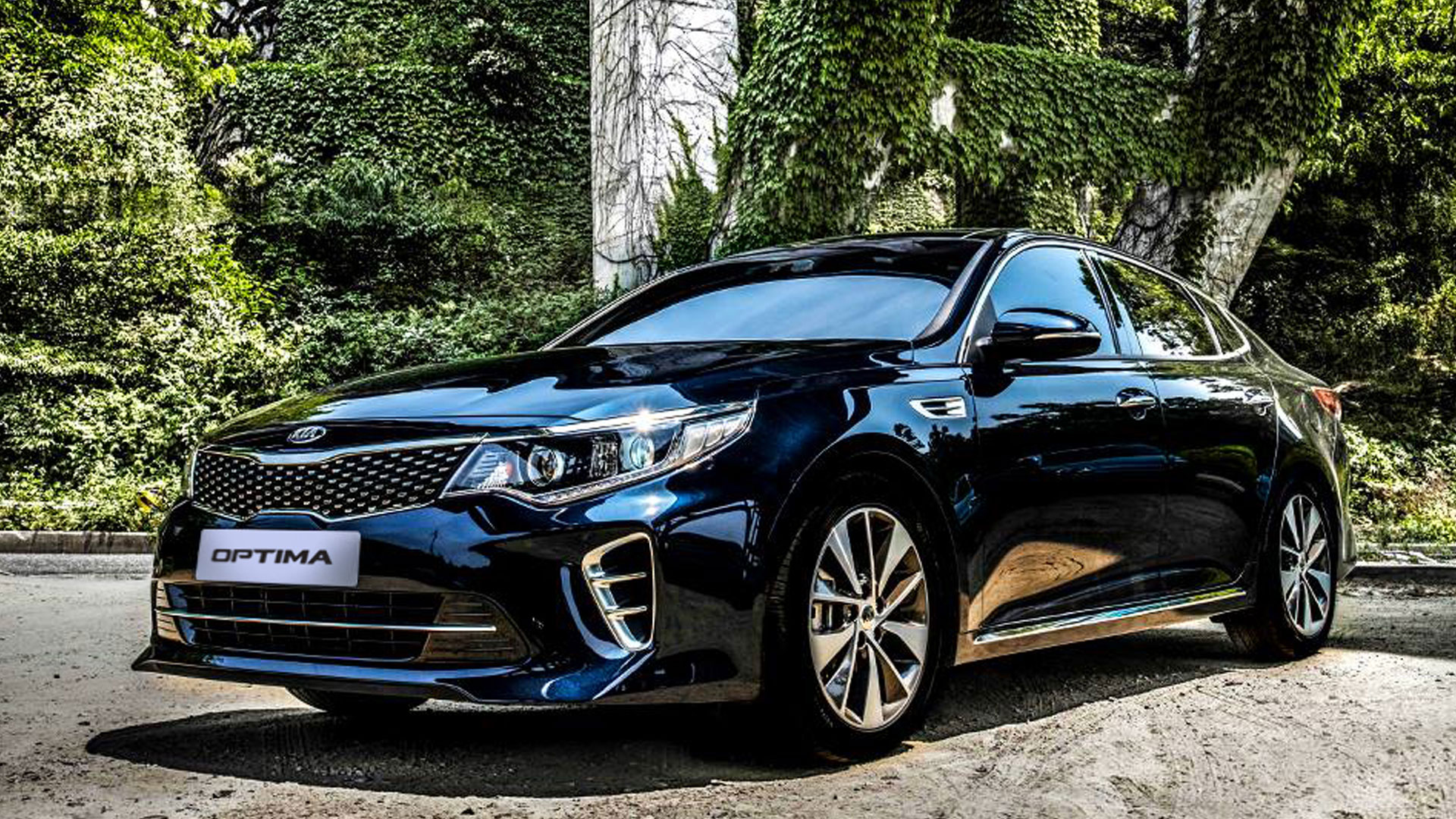 Kia Motors posts global sales of 214,323 vehicles in August