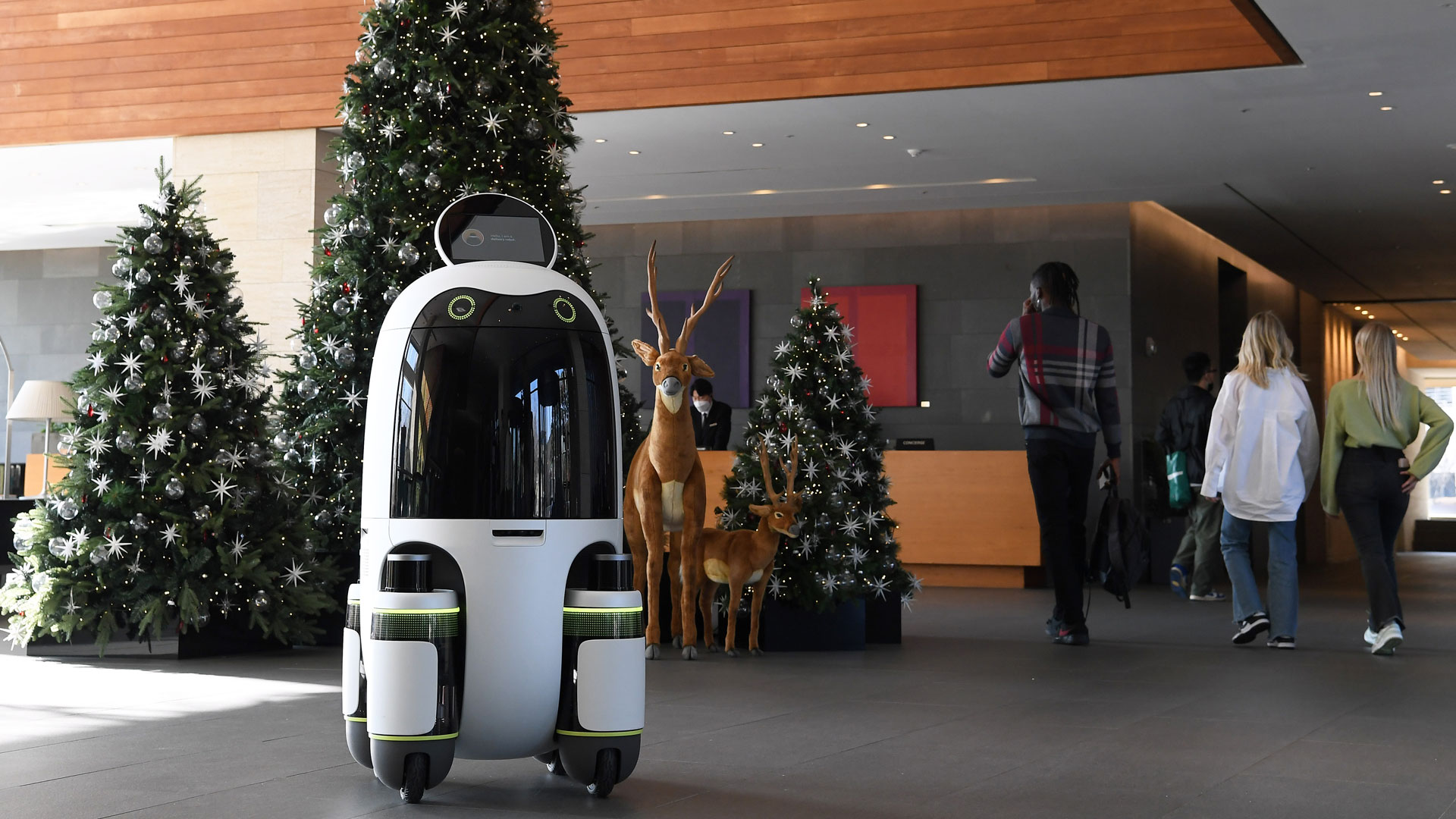 Hyundai Motor Group Robots Get Rolling with Pilot Programs to Advance Last-mile Delivery