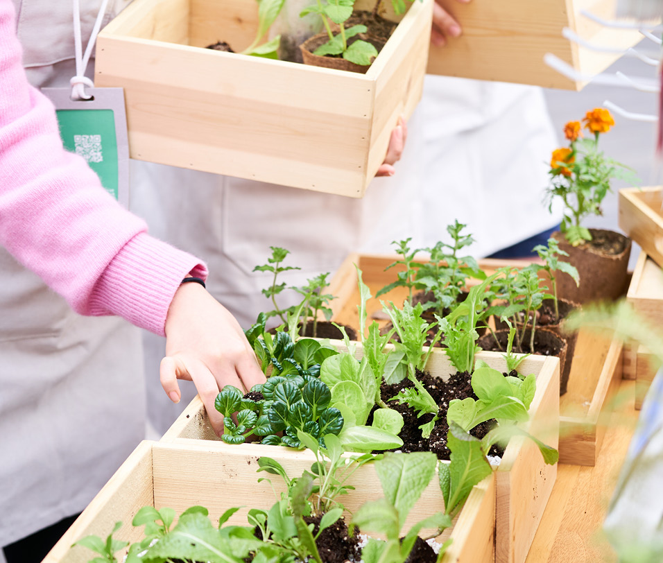 Gardening class in progress