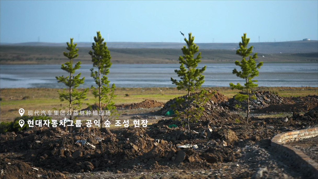 현대차그룹이 중국 조성하고 있는 공익 숲 현장 이미지