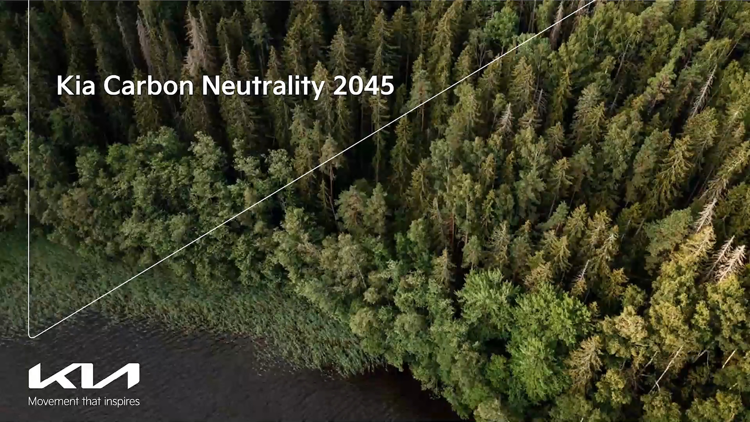 Forest images reminiscent of carbon neutrality