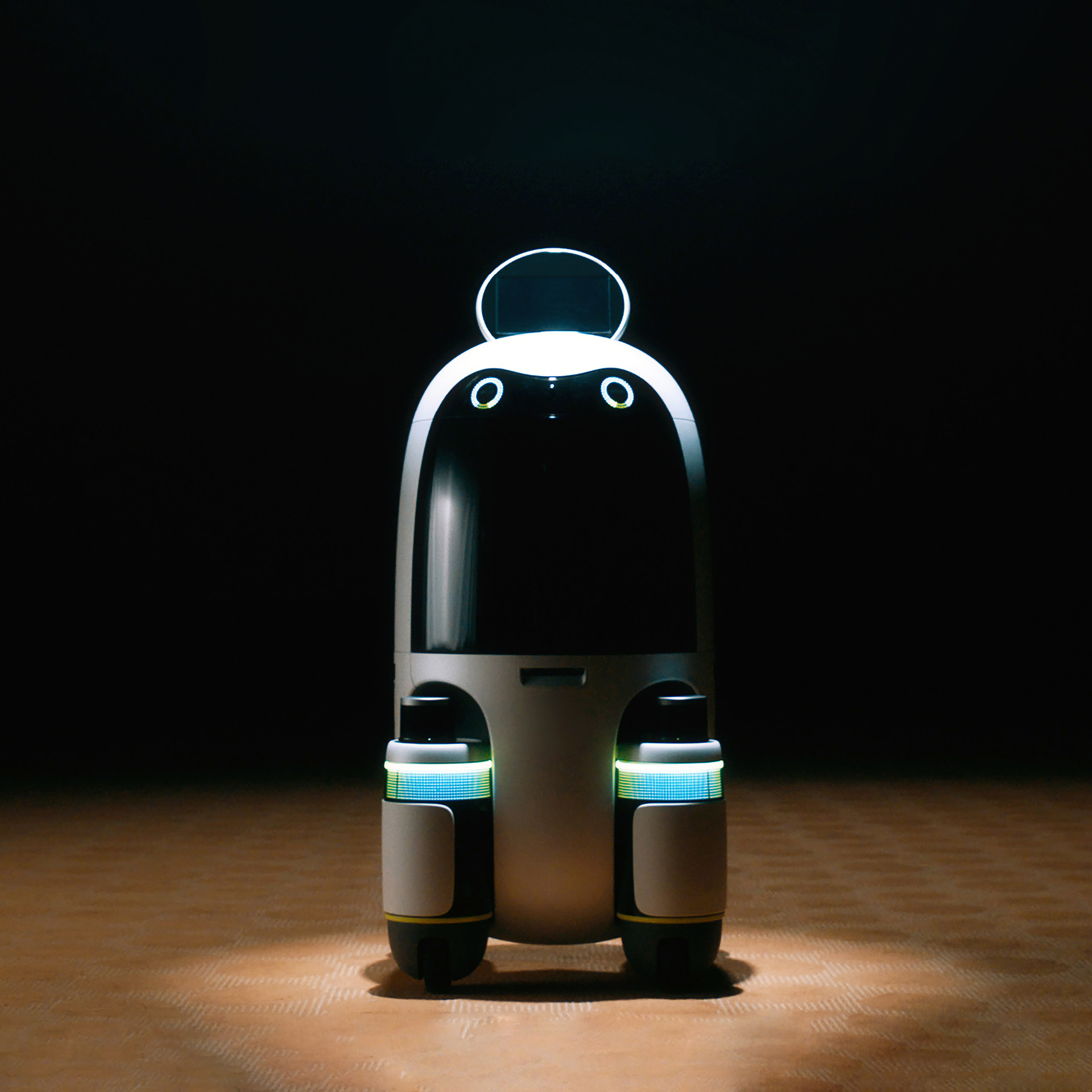 photo of delivery robot