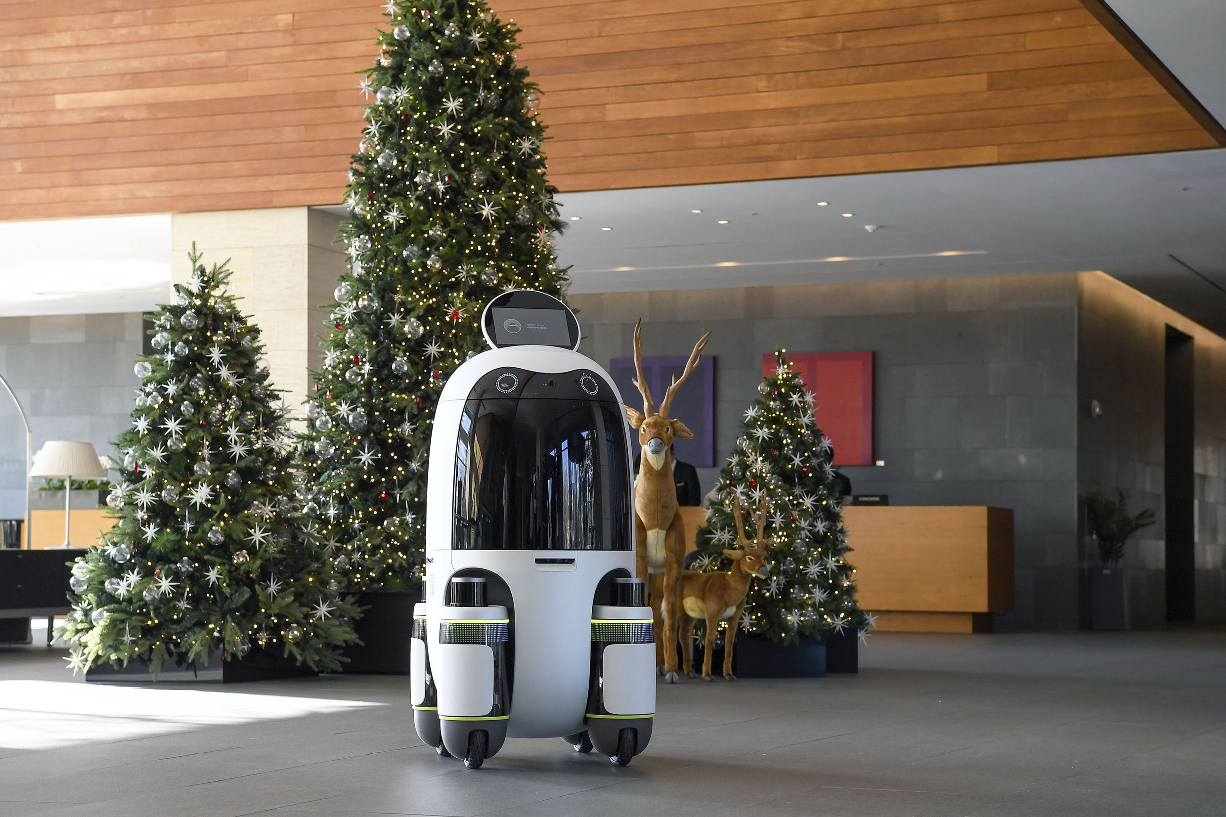 A delivery robot moving in a hotel lobby