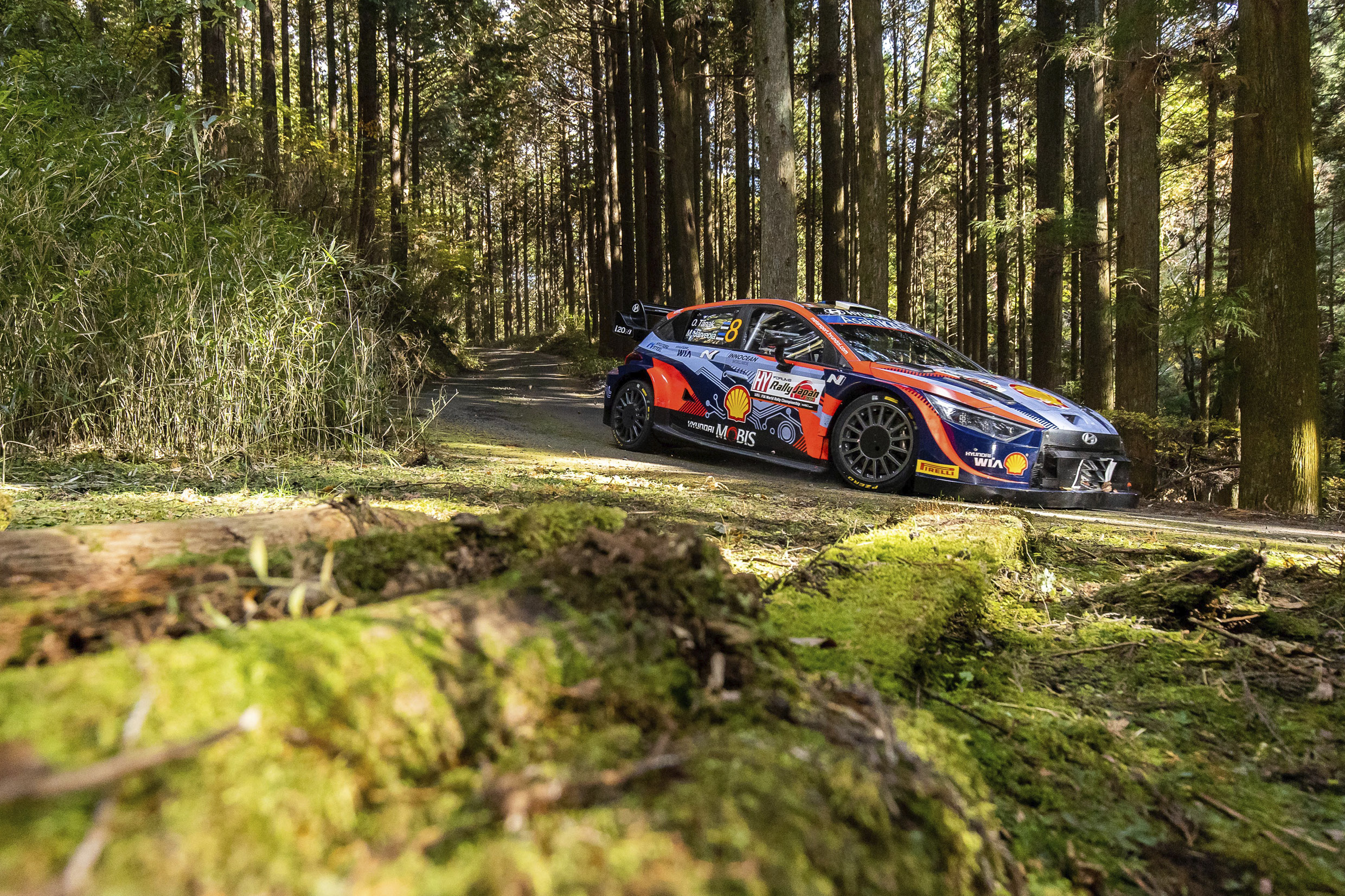 I 20 N rally car running next to aligning forest trees
