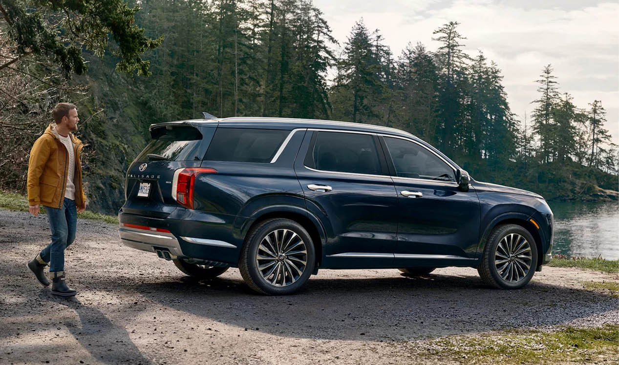 한 남성이 자연을 배경으로 한 현대차 팰리세이드를 바라보고 있다