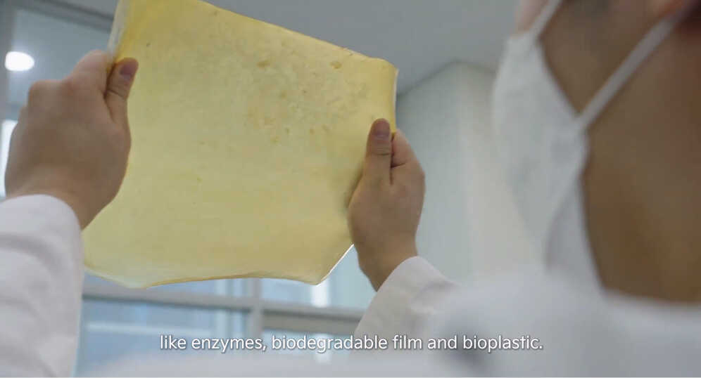 균사체를 이용해 만든 가죽 대체품을 확인하는 연구원의 모습