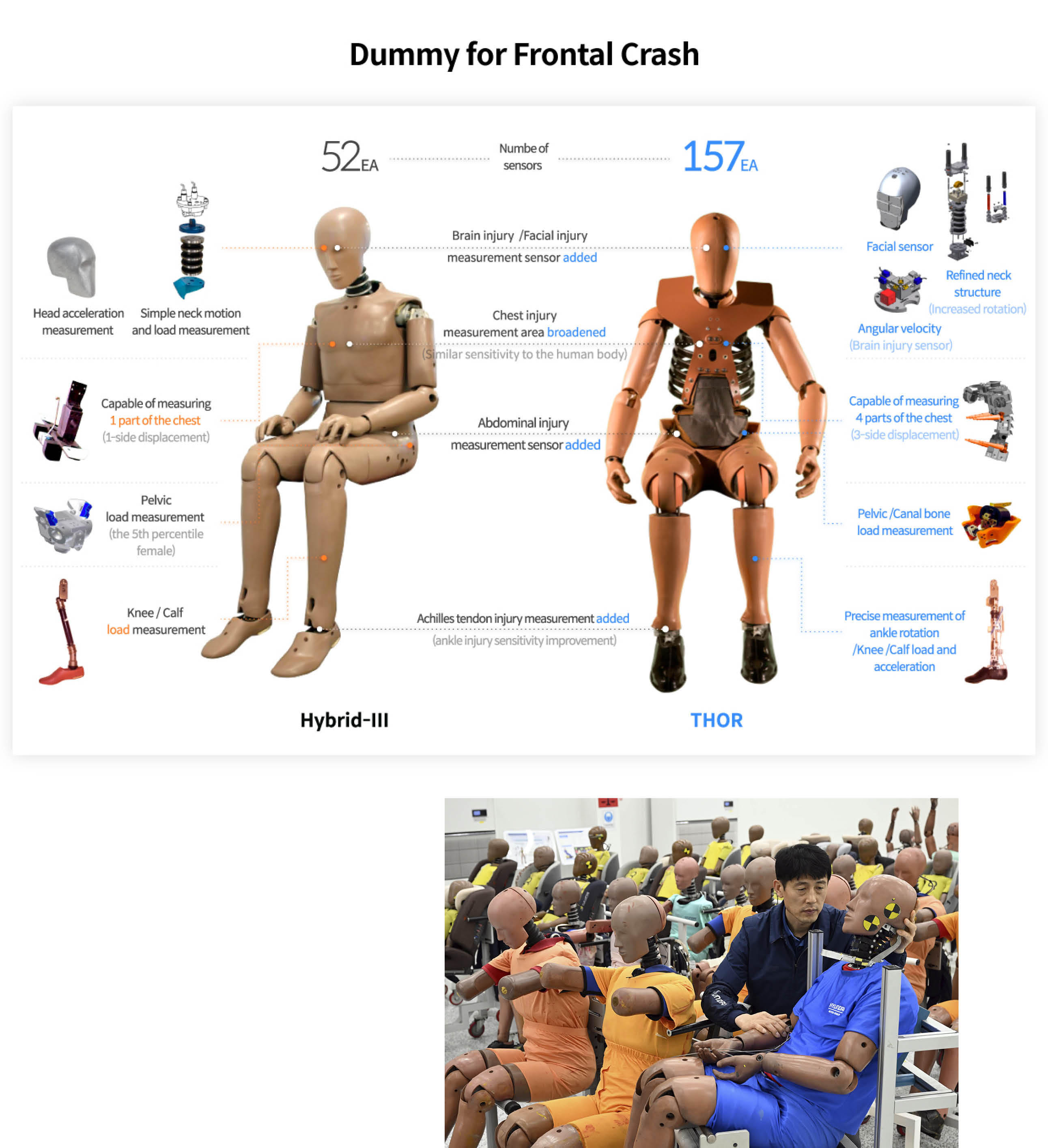 Infographic describing dummy features for frontal crashes used in Hyundai Motor Group’s crash test evaluation