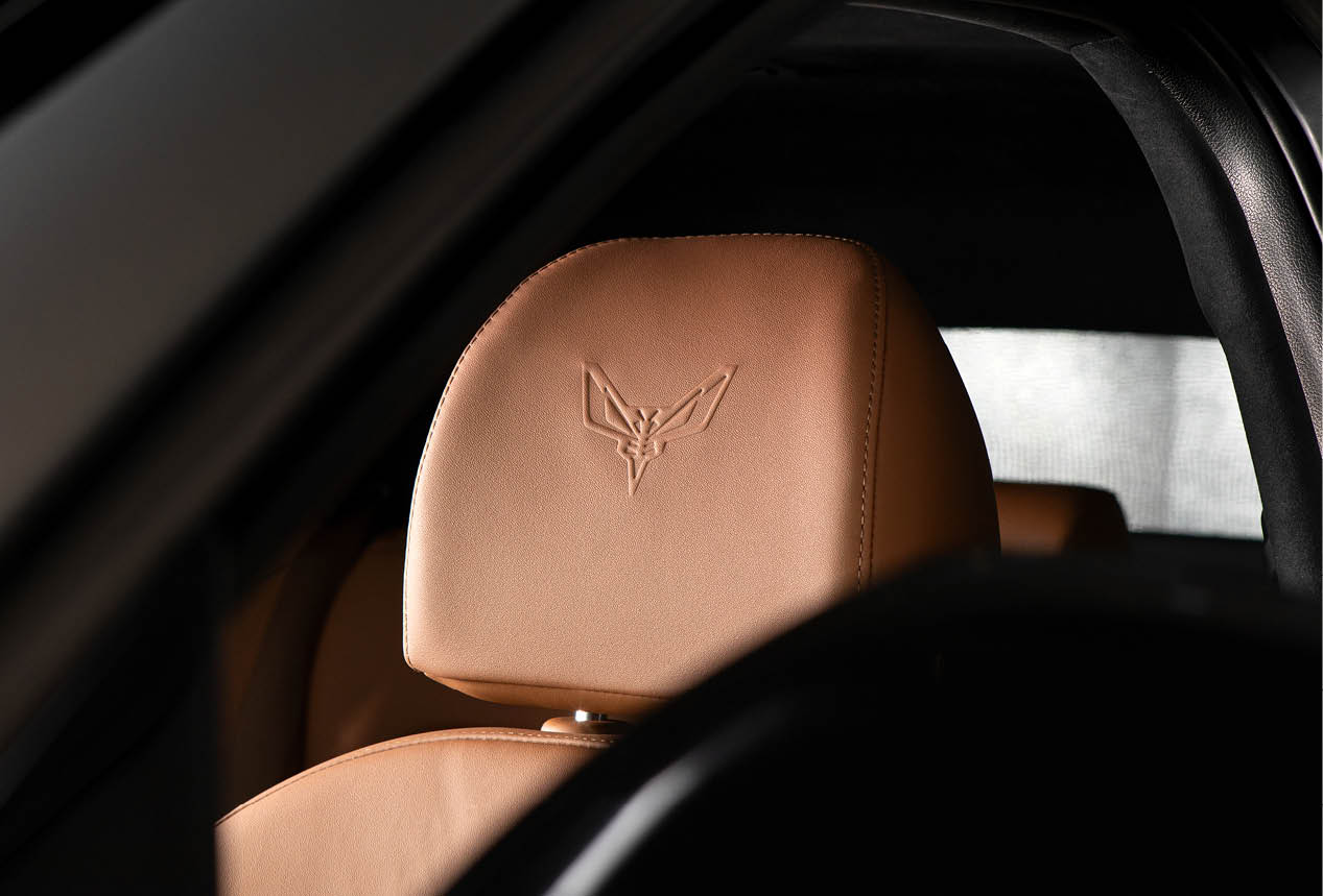 Headrest with hornet-shaped logo instead of GT logo