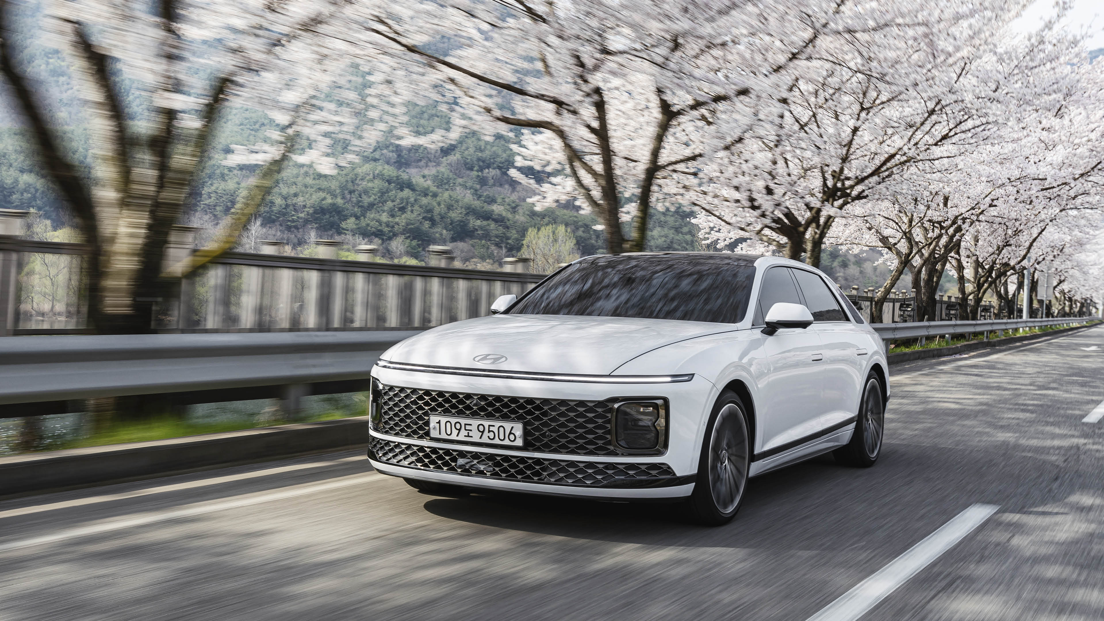 7세대 그랜저가 벚꽃이 만개한 도로를 달리고 있다