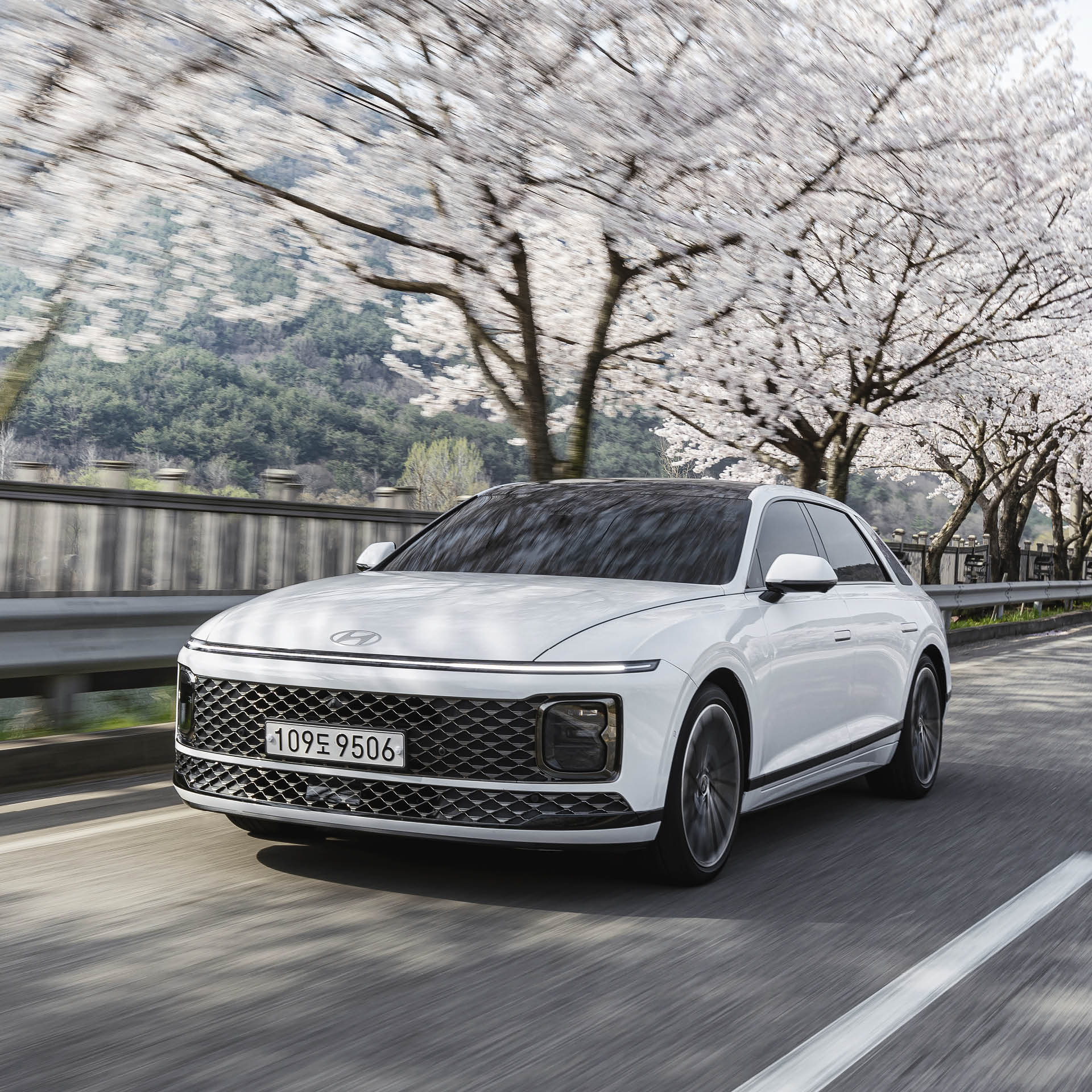 The 7th generation Grandeur is running on a road with cherry blossoms in full bloom