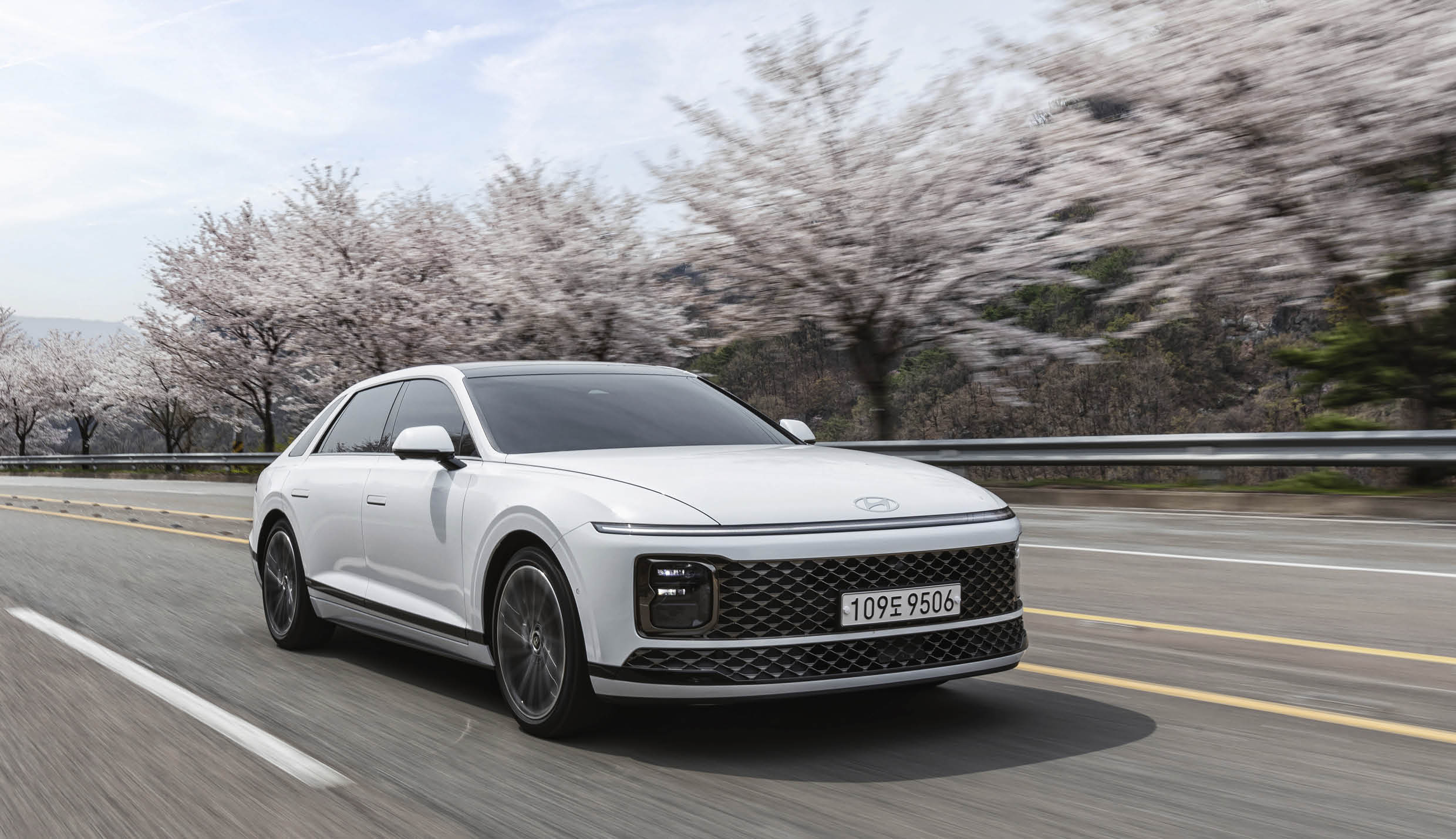 The 7th generation Grandeur is running on a road with cherry blossoms in full bloom